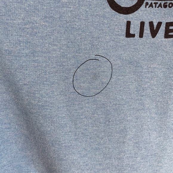 Patagonia Live Simply Hoodie 🐾 - Picture 4 of 4